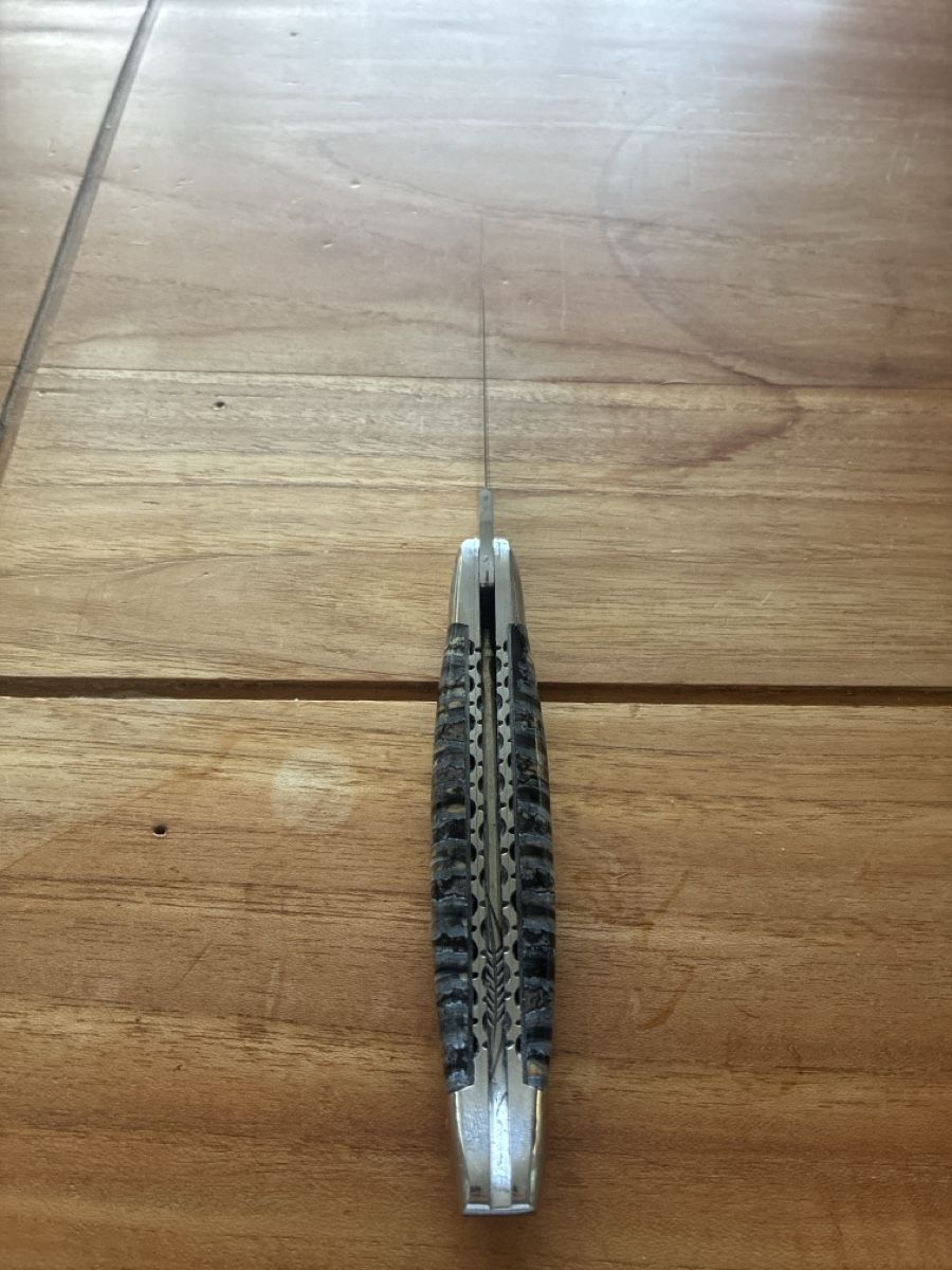Laguiole Accessori: Laguiole mammut griff messer  – Usato da Wallisellen venduto da vin_9tfj 3