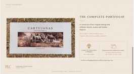 Fine Art Horse Print – Limited edition