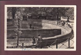 BERN - Bärengraben - 1933
