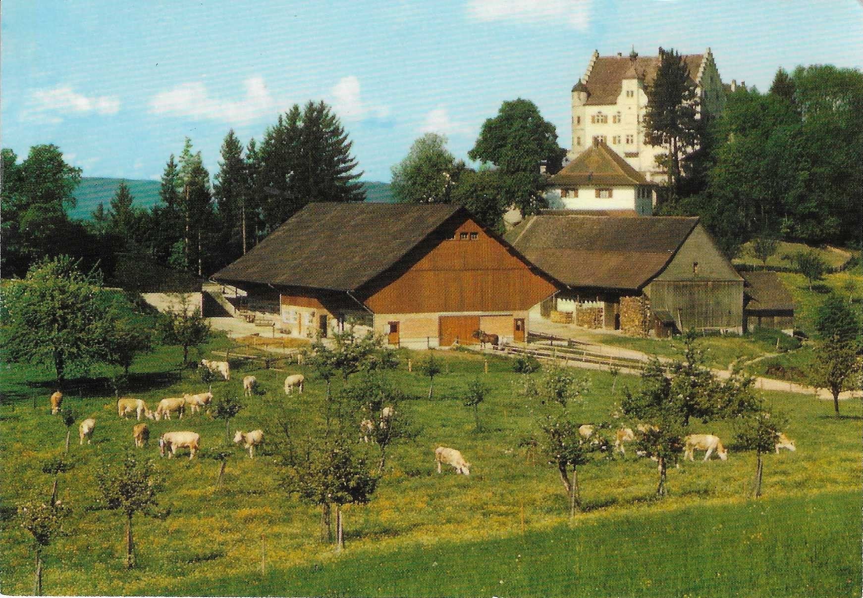 Cartoline postali: Schloss Sonnenberg Stettfurt TG – Nuovo (secondo la descrizione) da Rothrist venduto da Stranglehold
