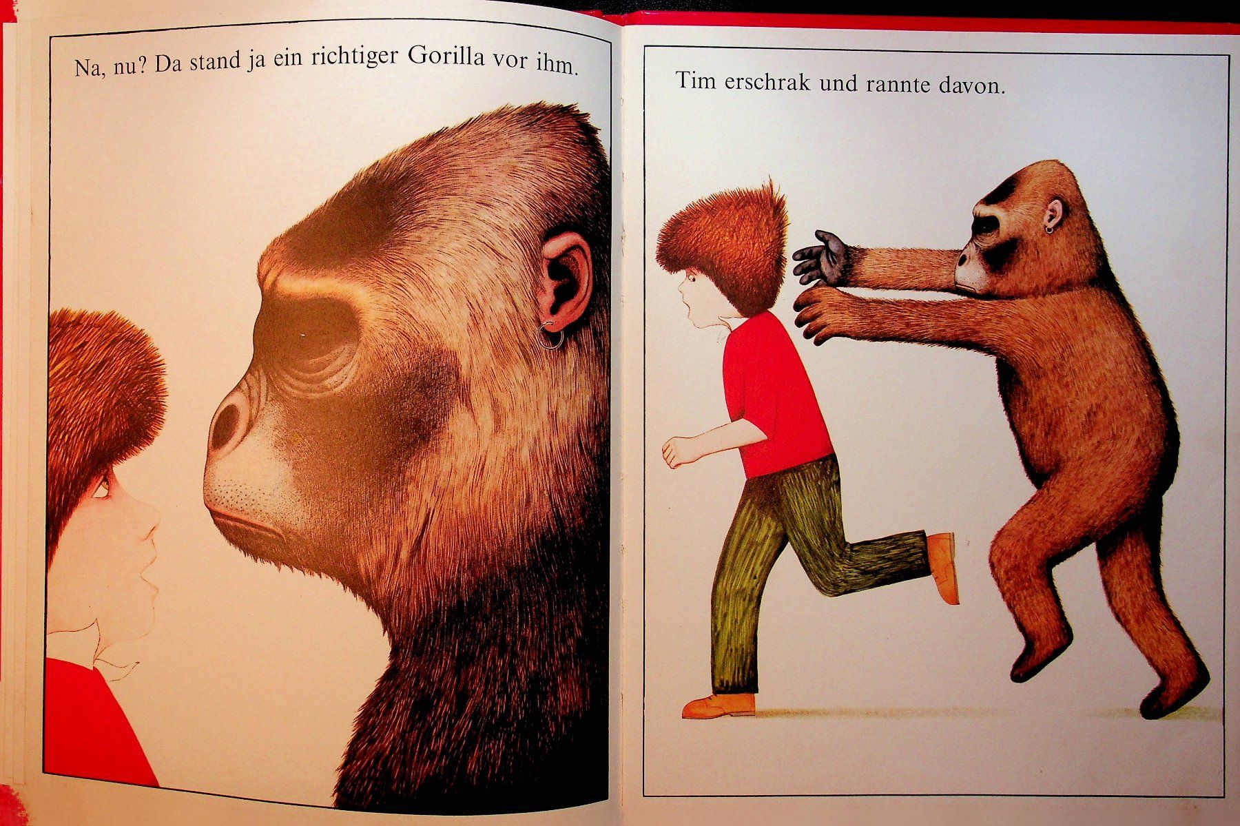 Libri: Anthony Browne Tim und Tom Herder© 1981 – Usato da Reitnau venduto da Zaomir 8