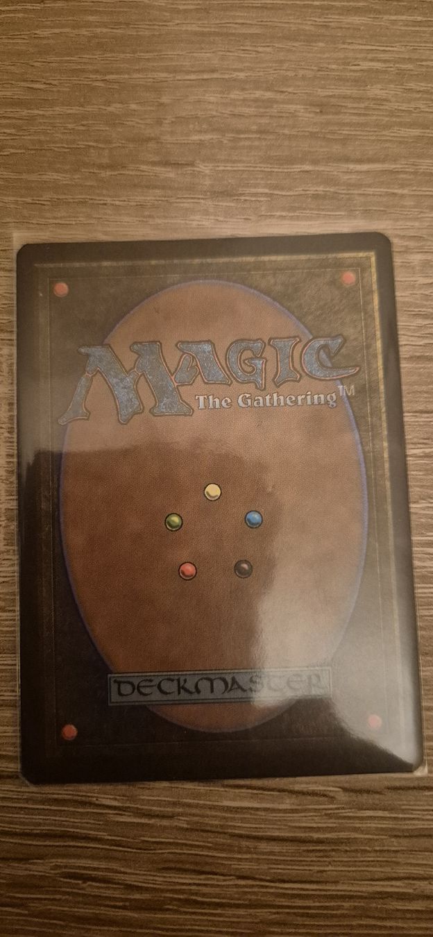Magic The Gathering Sammelbilder & Trading cards: Carte Magic The Gathering - Allosaurus Graveyard – Neu (gemäss Beschreibung) aus Genève von Bayoushi 2