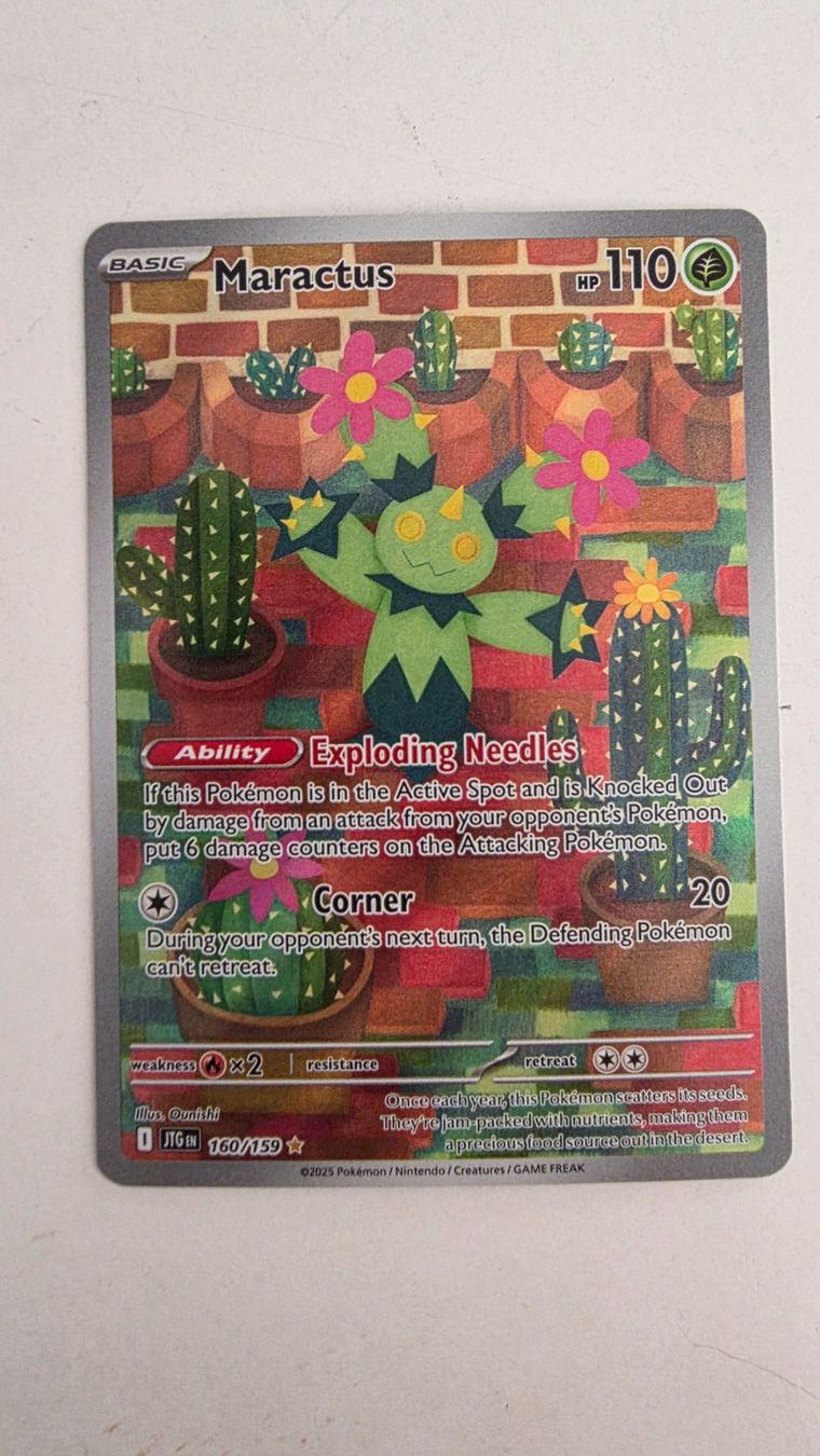 Pokémon Carte collezionabili: Maractus - 160/159 - Journey Together - IR – Nuovo (secondo la descrizione) da Richterswil venduto da Goennjamin90