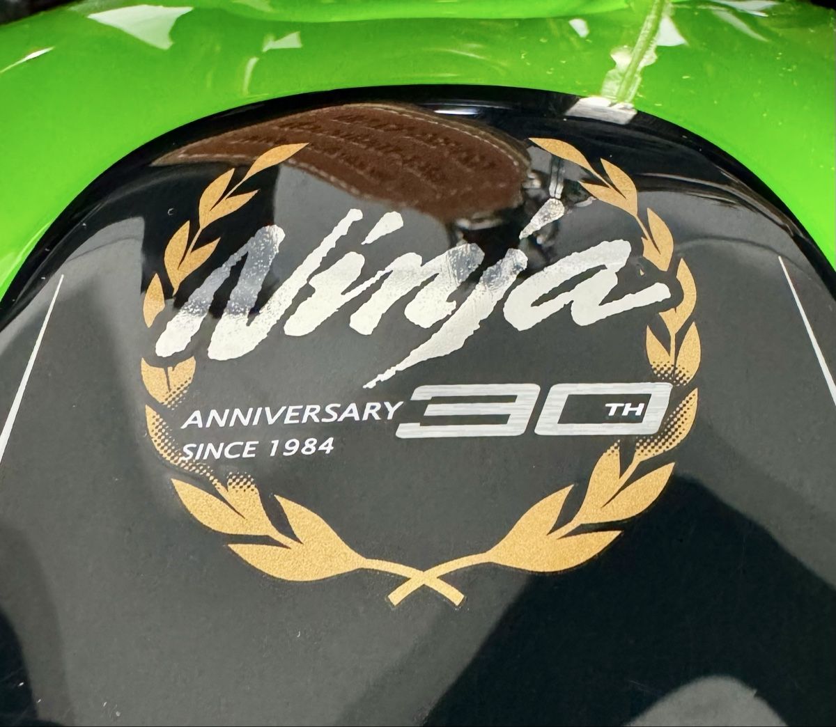 Kawasaki Strada: Kawasaki Ninja 300 ABS, 30th Anniversary Edition  – Usato da Urdorf venduto da SchmidliMotos 5