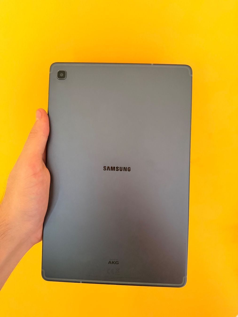 Tablet PC: Galaxy Tab S5e - Grey - 64gb – Usato da Taverne venduto da Chanty-Nidhi