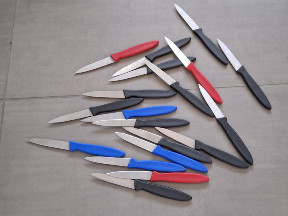Coltelli da cucina: 19 Rüstmesser mit mehrfarbigen Plastikgriffen – Difettoso da Märstetten venduto da activemember