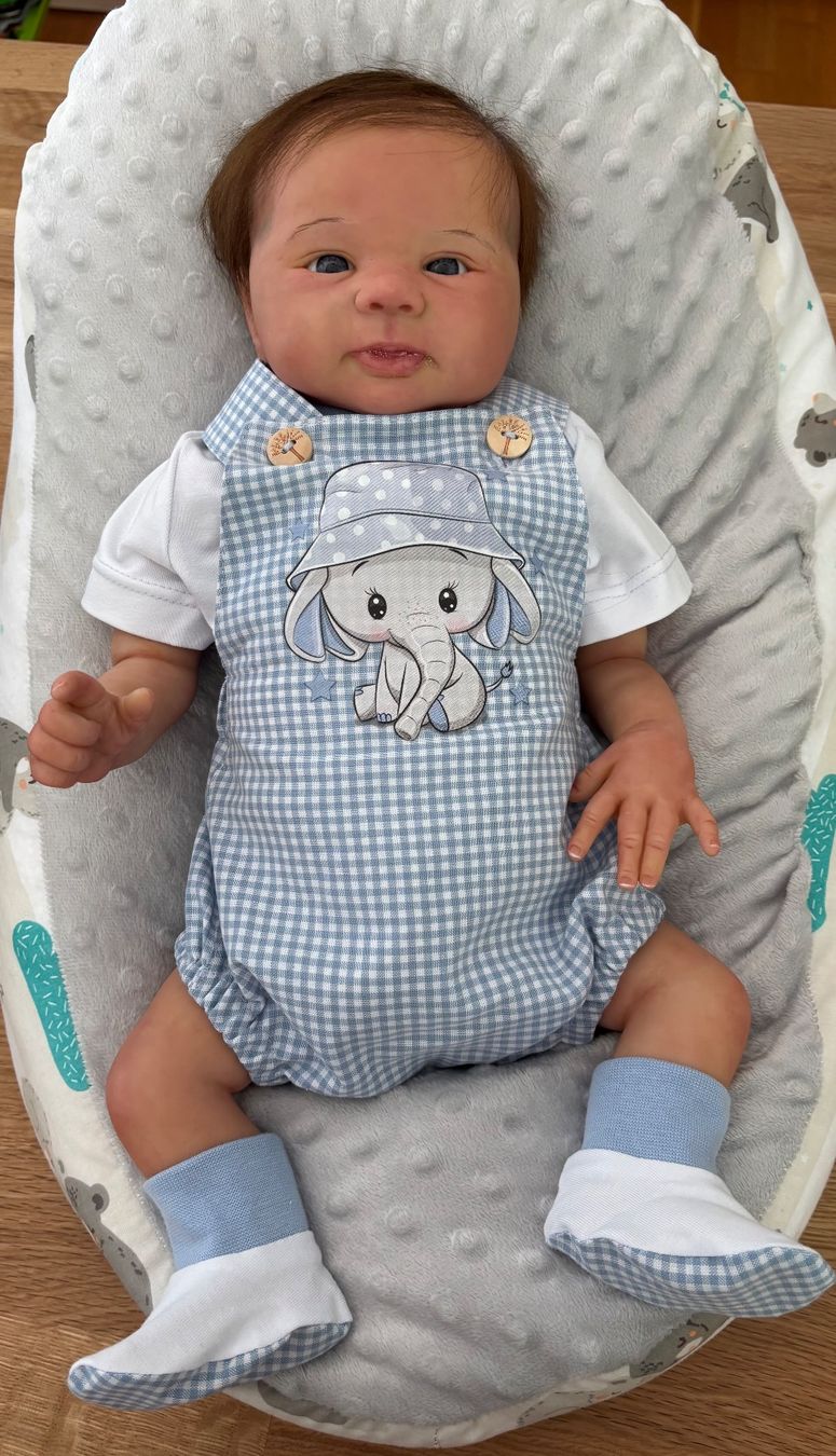Reborn Bambole: Rebornbaby – Usato da St. Gallen venduto da SeverineWalli 2