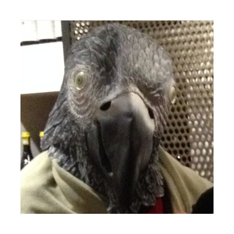 Maschere: Papagei Vogel Maske – Nuovo e nell'imballaggio originale da Gonten venduto da Herr-Lobo 2