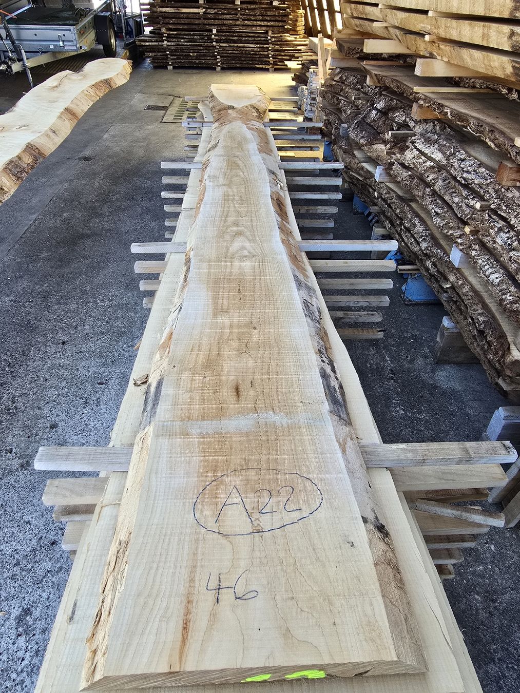 Articles en bois: Ahornbretter – Neuf (Voir description) à Ramsei par Waelchris 7