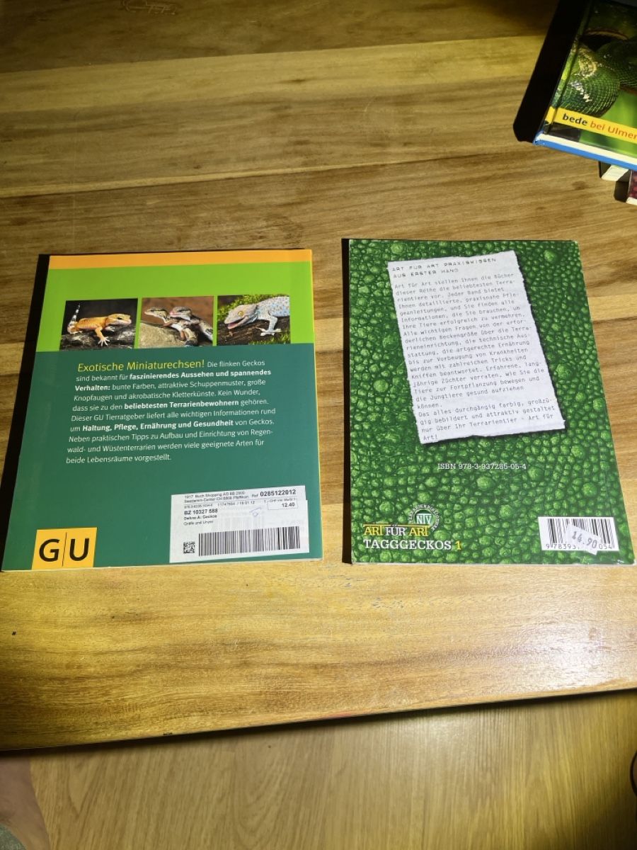 Libri: Gecko – Usato da Siebnen venduto da Sweetrevenge 1