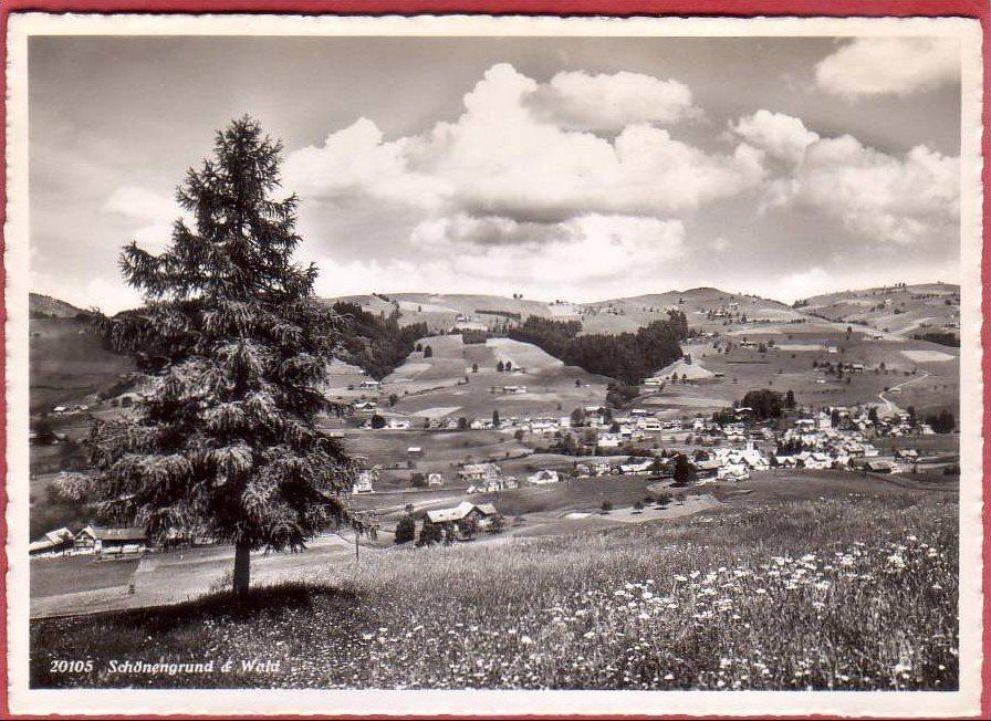 Ansichtskarten: SCHÖNENGRUND UND WALD, GROSSFORMAT – Gebraucht aus Grüningen von Kartenlaube