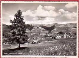 SCHÖNENGRUND UND WALD, GROSSFORMAT