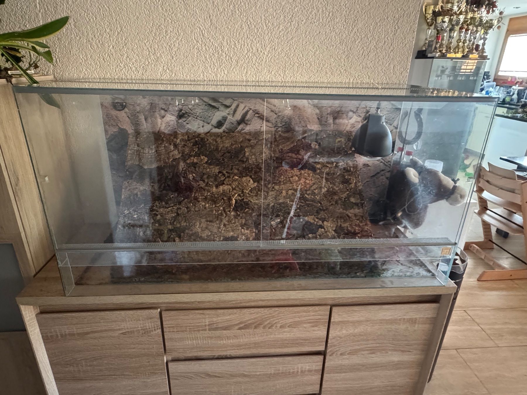 Terrarium: Terrarium – Gebraucht aus Saland von Swiss_Lady95