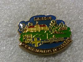 Ansteckpin 150: