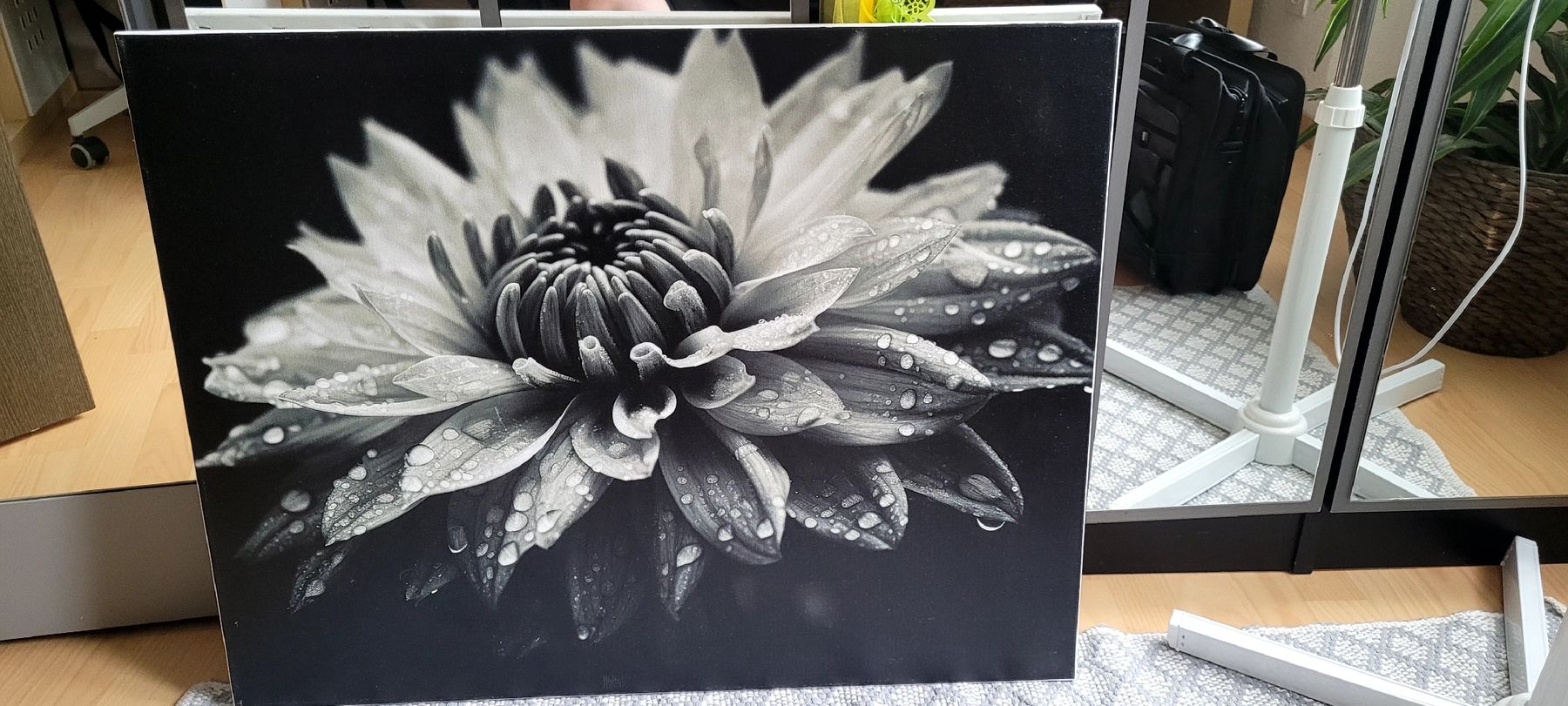 Foto & Immagini: Blumenbild 75x58cm – Nuovo e nell'imballaggio originale da Tann venduto da WSD 2