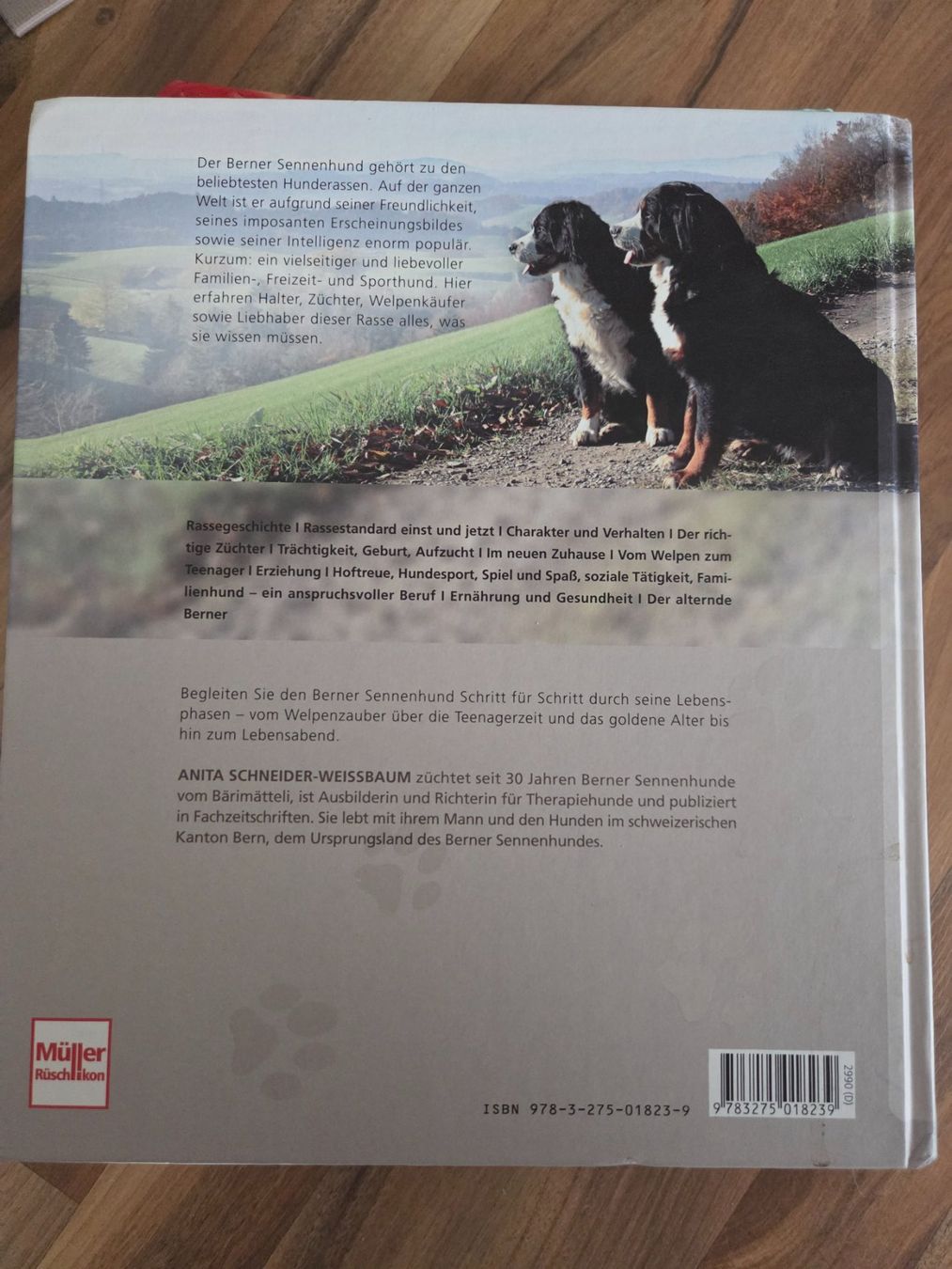 Bücher: Berner Sennenhund – Gebraucht aus Diegten von ruz_82rp 1