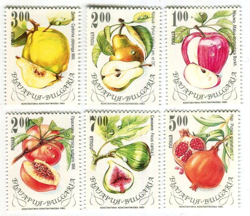 Tutti i francobolli: Briefmarken "Obst & Beeren". Bulgarien – Nuovo e nell'imballaggio originale da Basel venduto da Butsch5