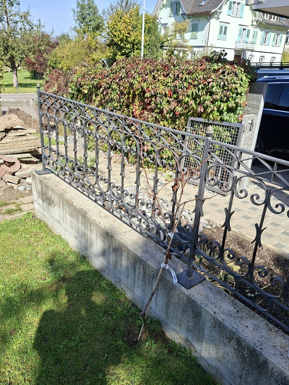 Sonstige Antiquitäten & Kunst: Gartenhag antik  – Gebraucht aus Ganterschwil von HeidiuPeter 4