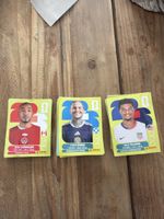 29 Panini 2026 World Cup Stickers 