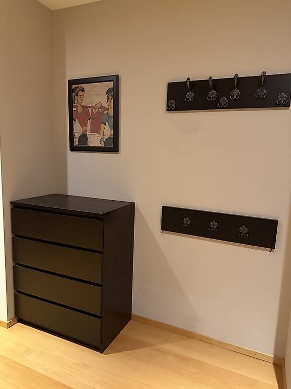Ikea Kommoden: Malm / Kommode schwarz, 4 Schubladen – Gebraucht aus Uster von vingapo
