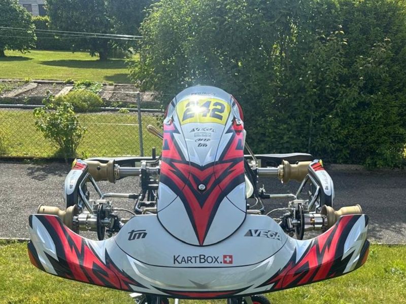 Go-Kart: OTK Schaltkartchassis "CS55" – Usato da Zauggenried venduto da babuk 1