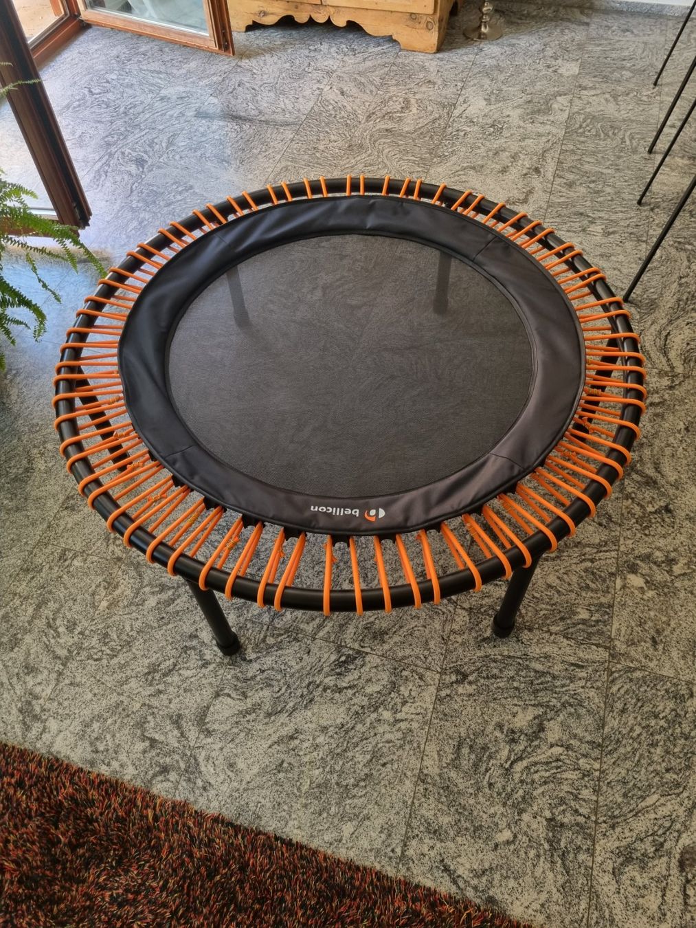 Bellicon Trampolines: Bellicon Trampolin – D'occasion à Arlesheim par Gamuga