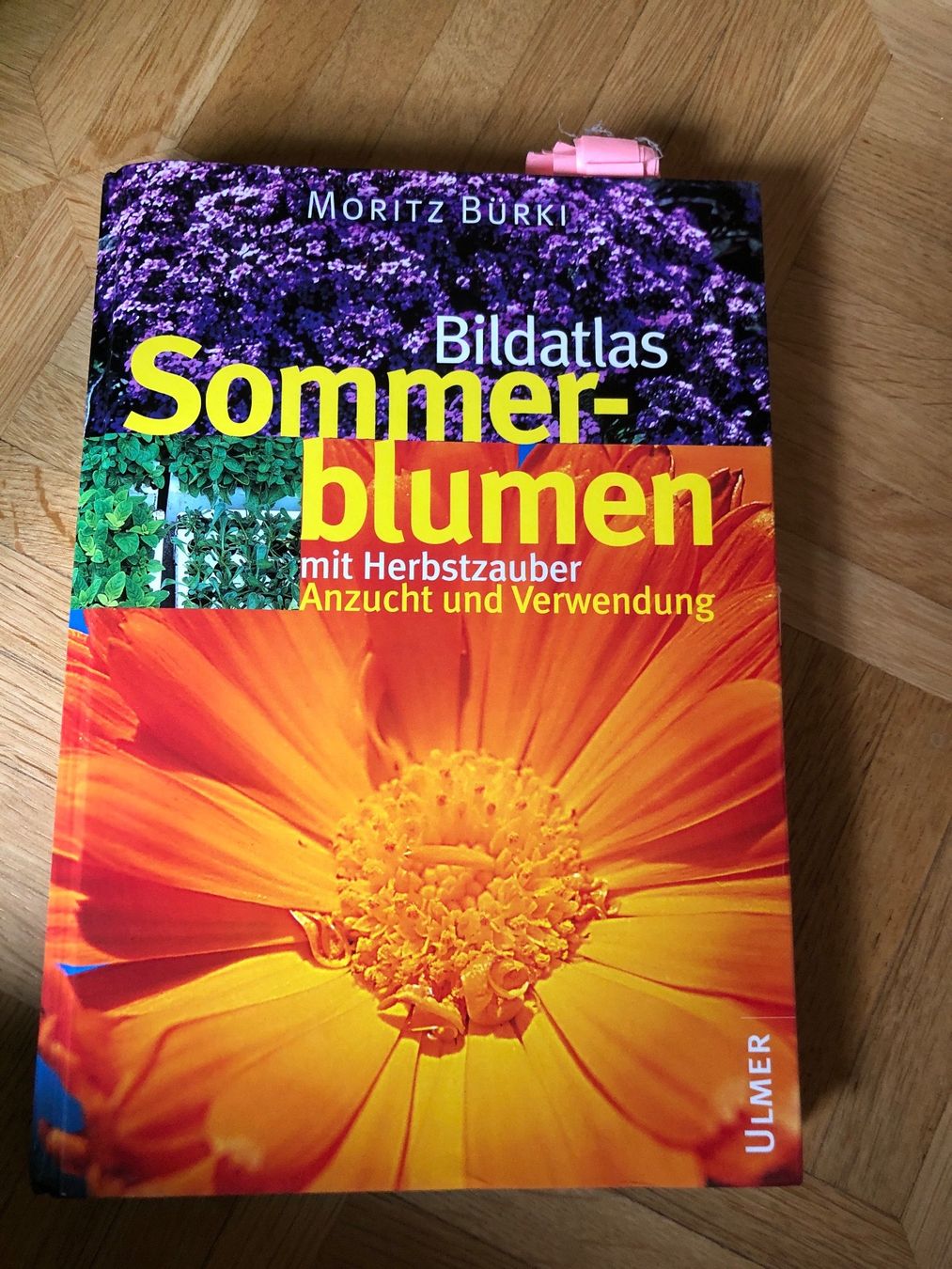 Libri: Sommerblumen Buch – Usato da Vilters venduto da Zwaergli13