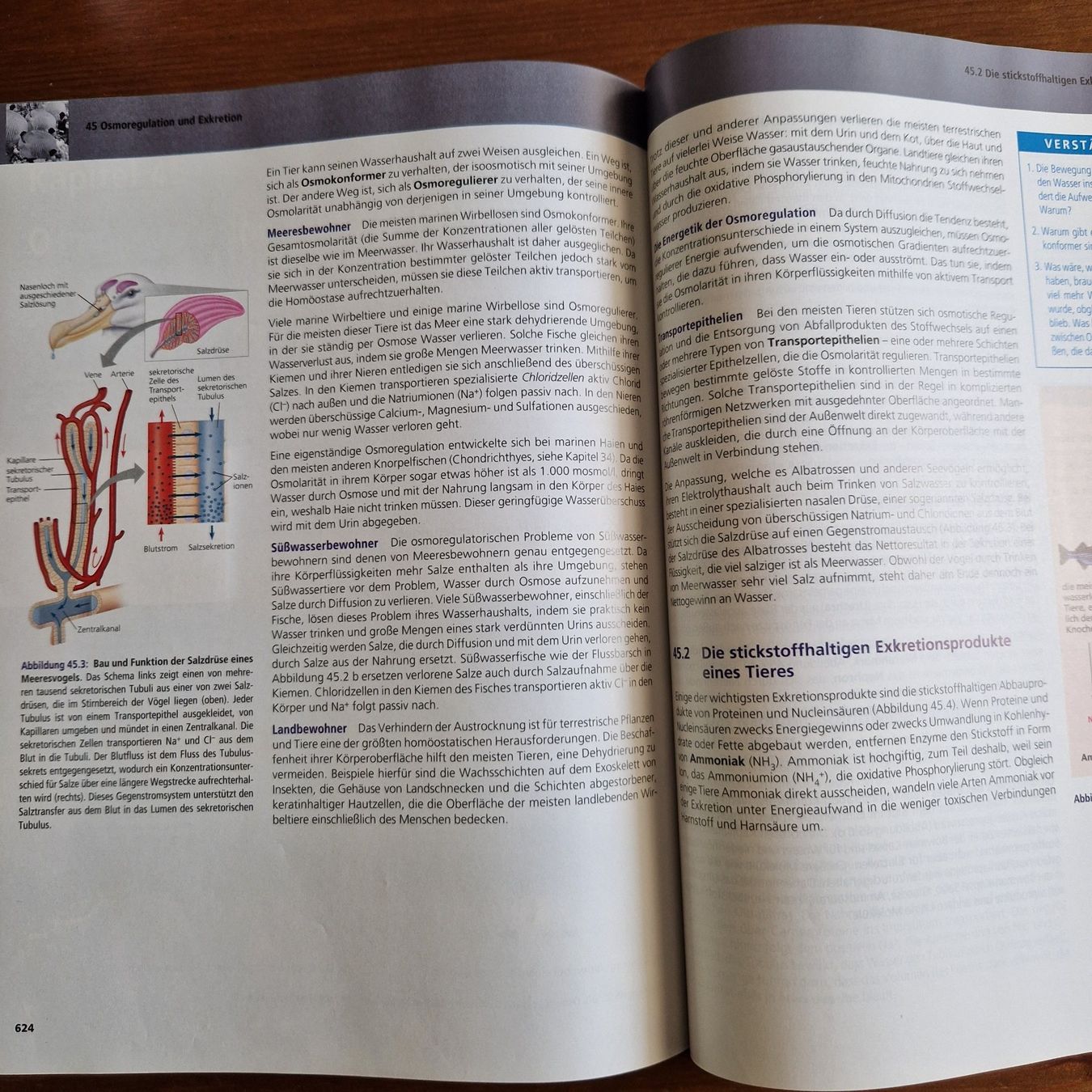 Libri: Campell Biologie – Nuovo (secondo la descrizione) da Muttenz venduto da bebbi523 2