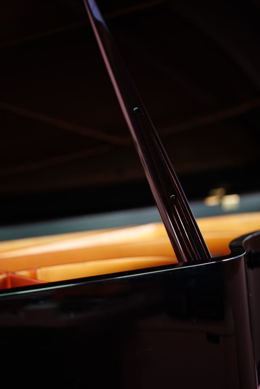 Instruments de musique: Flügel C.Bechstein B-203 – D'occasion à Spiez par eni_lvq7 6
