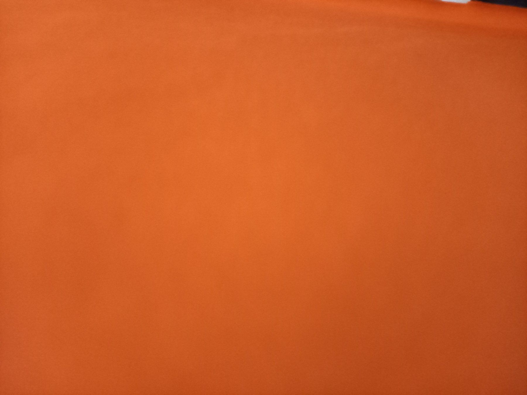 Tessuti: Viskosejersey orange 3 m – Nuovo (secondo la descrizione) da Lichtensteig venduto da mondkleider