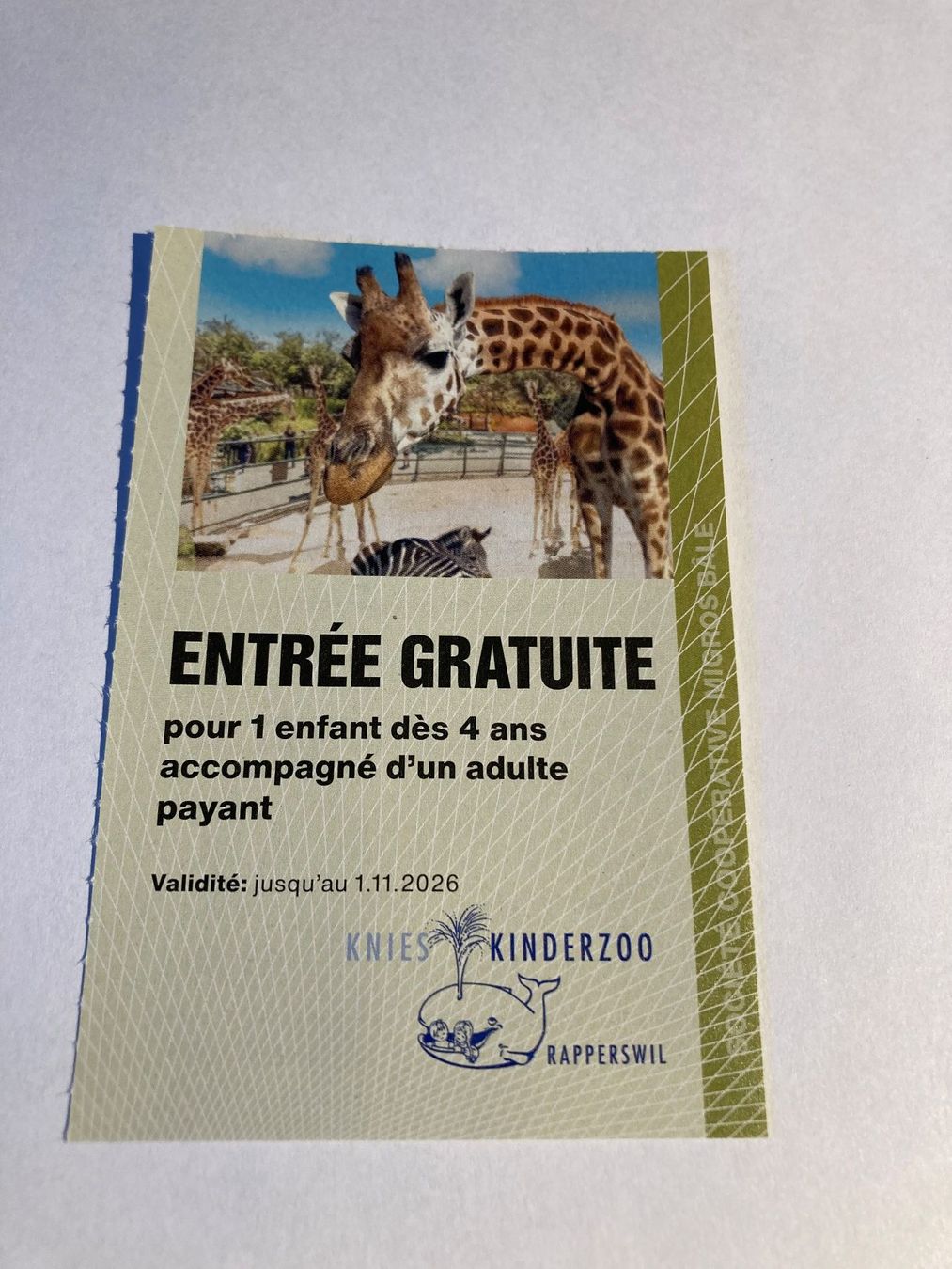 Buoni: Knie Kinderzoo – Nuovo (secondo la descrizione) da Bressaucourt venduto da lilitisha