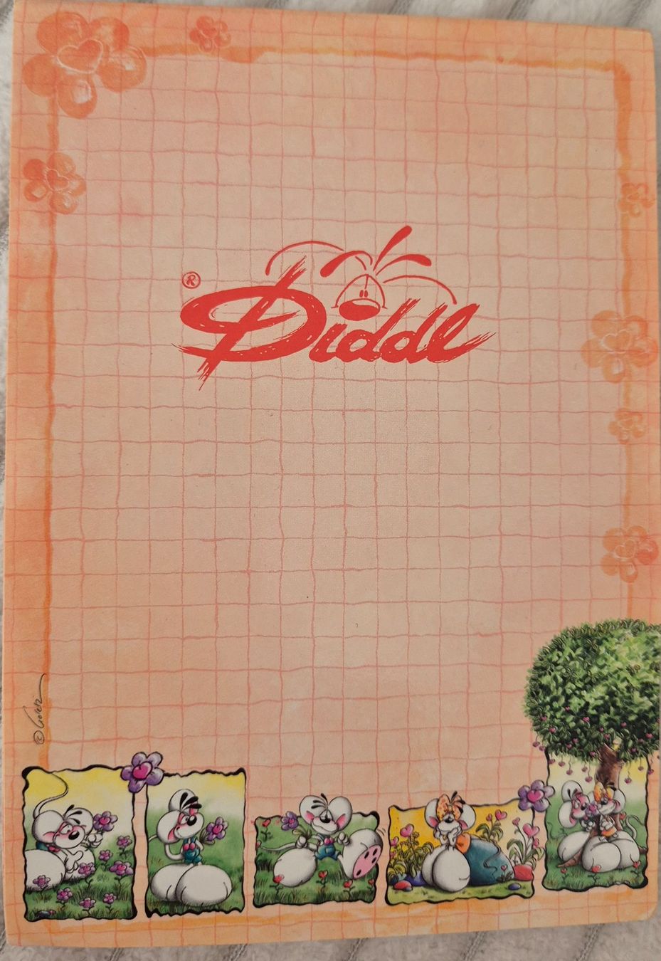 Blocchi: Diddel Block a6 Format – Usato da Urtenen-Schönbühl venduto da Rose.9294