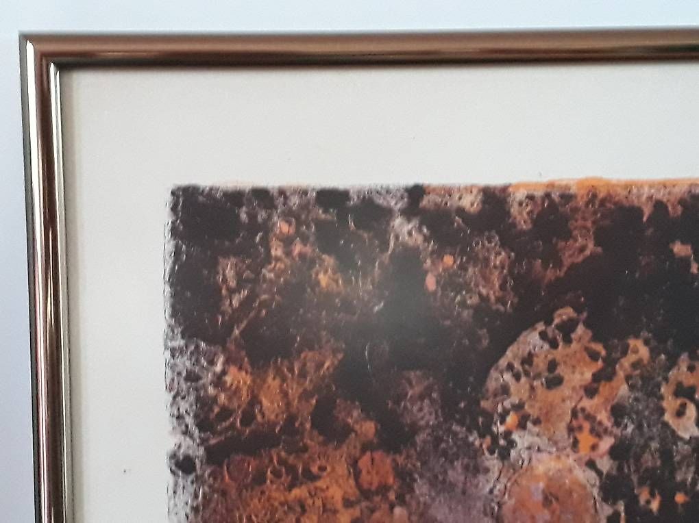 Arts picturaux & lithographies: Lithografie Bild – D'occasion à Kesswil par Branca-01 4