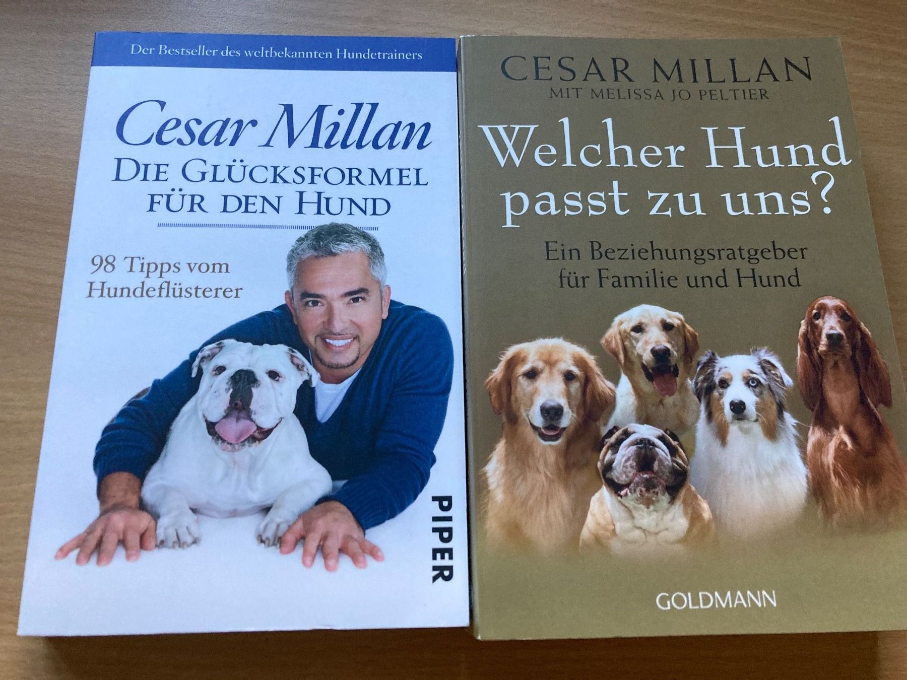 Bücher: Cesar Millan / 2 Ratgeber Hunde – Gebraucht aus Dotzigen von rapunzel03
