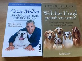 Cesar Millan / 2 Ratgeber Hunde