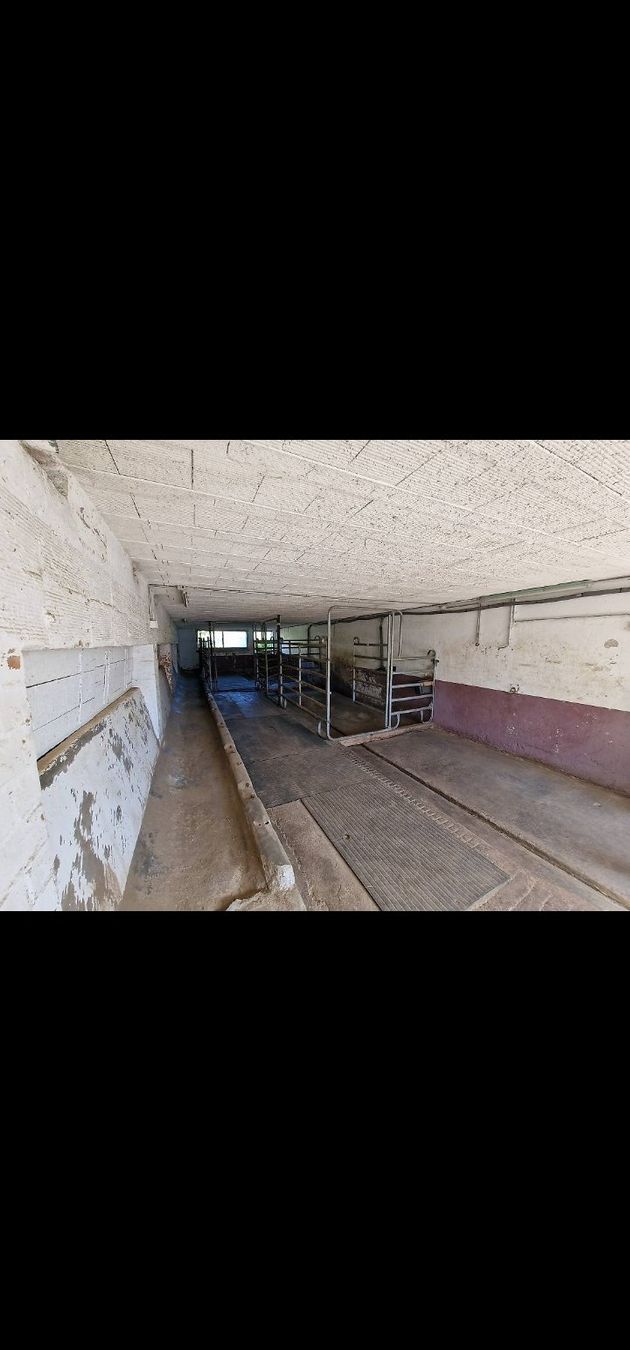 Servizi & Riparazioni: Pension boxe / pré (auto/semi-gestion possible) – Usato da Villaz-St-Pierre venduto da Rubytys 2