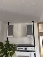 Piega Premium 301 und Sonoro Maestro-separat erhältlich