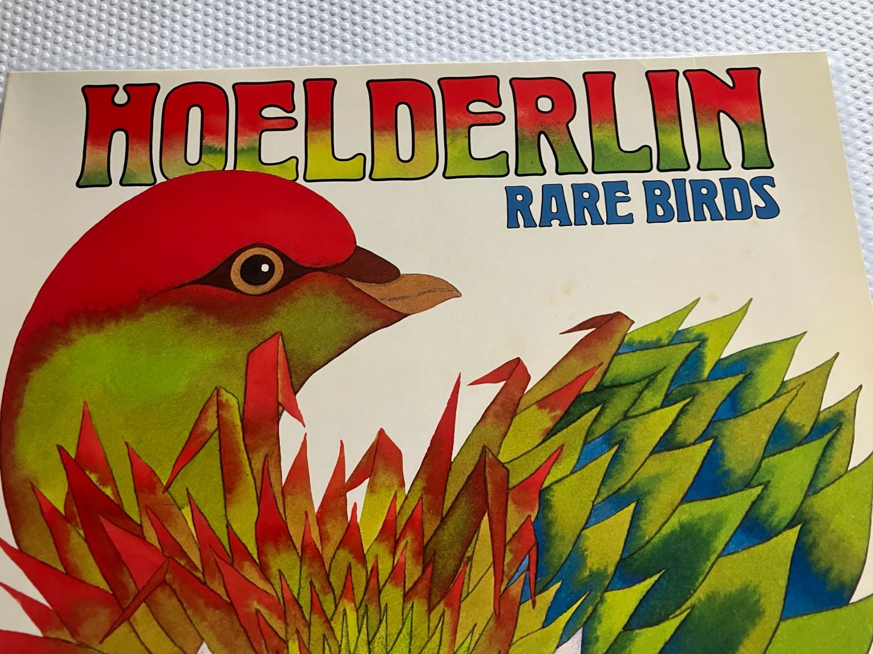 Dischi in vinile: Hoelderlin – Usato da Aarwangen venduto da Jukebox3 1