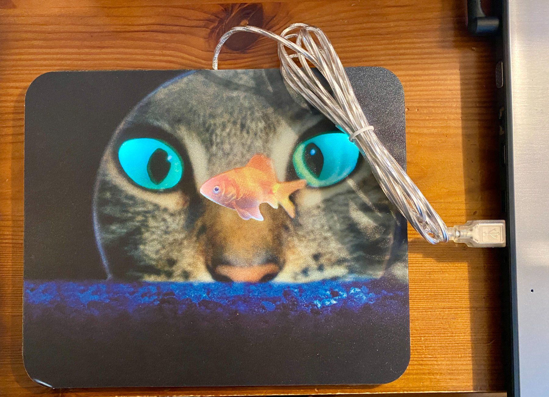Tappetini per mouse: USB Mausmatte Katze und Fisch – Nuovo (secondo la descrizione) da Allschwil venduto da Dangermouse07 1