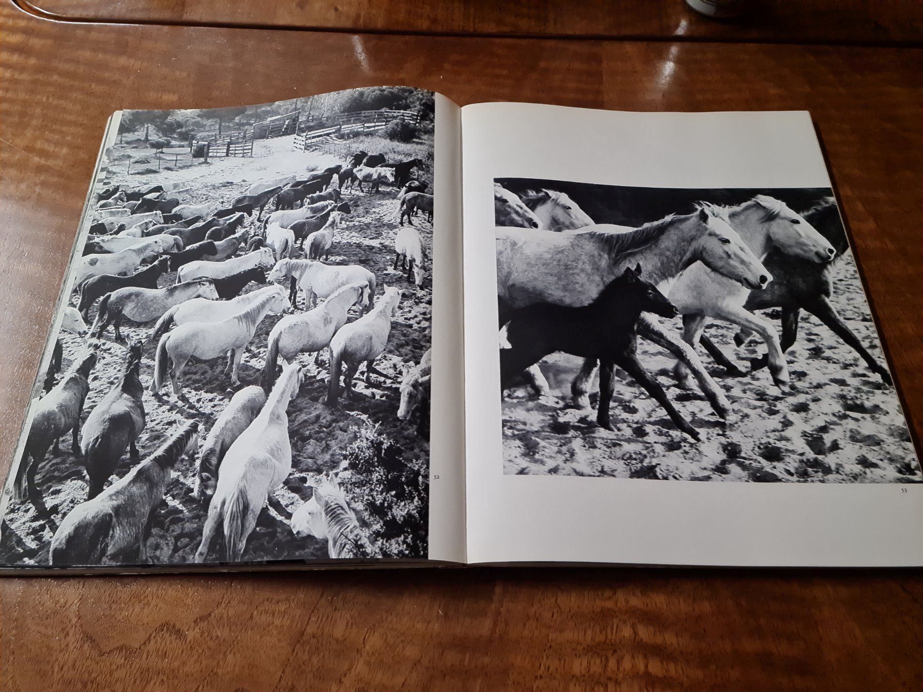 Bücher: CAMARGUE – Gebraucht aus Erstfeld von Uhu1980 3