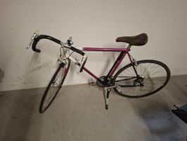Mondia Rennrad Reynolds 501 Stahlrahmen Swiss Made pink