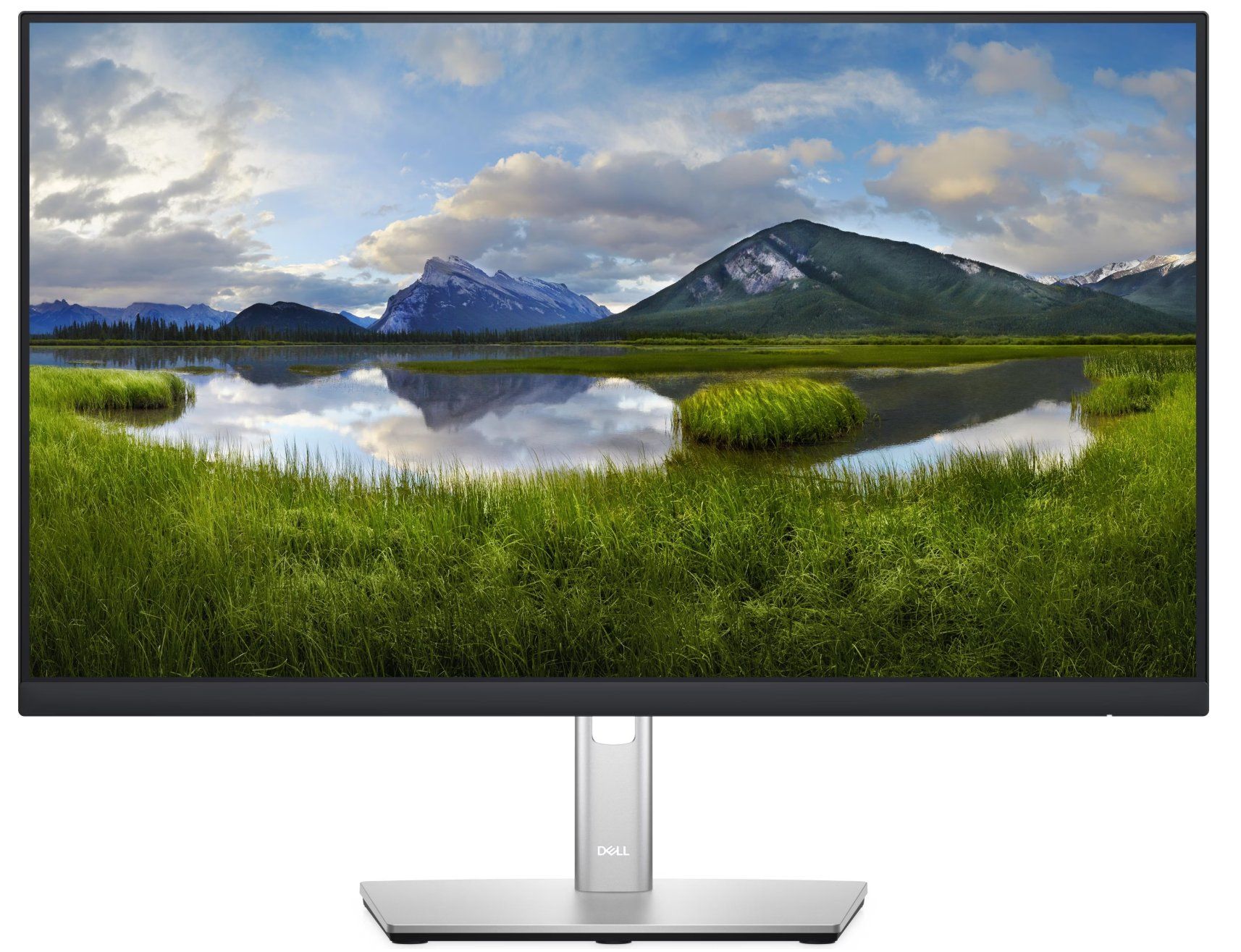 Dell Monitor: Dell P2422H 1920 x 1080 Pixel, 23.80" – Usato da Hermetschwil-Staffeln venduto da Hakicards