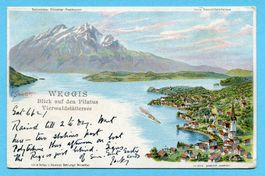 Weggis 1905 - Schlumpfkarte Nr. 2046 - sign. C. Steinmann