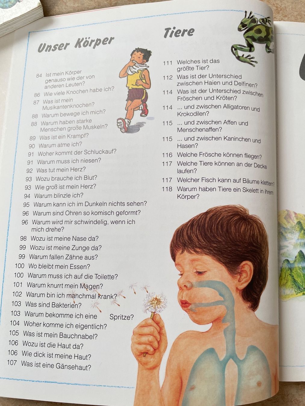 Libri: Frage- und Antwortbuch WARUM? – Usato da Klingnau venduto da vollmond36 3