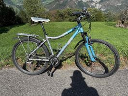 MTB/Citybike Wheeler