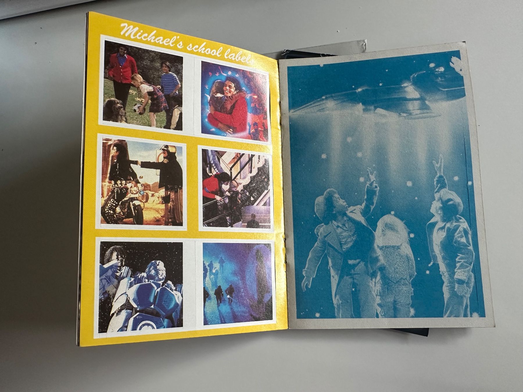 Libri: Michael Jackson Buch mit Stickers – Nuovo (secondo la descrizione) da Basel venduto da iulia_haul 1