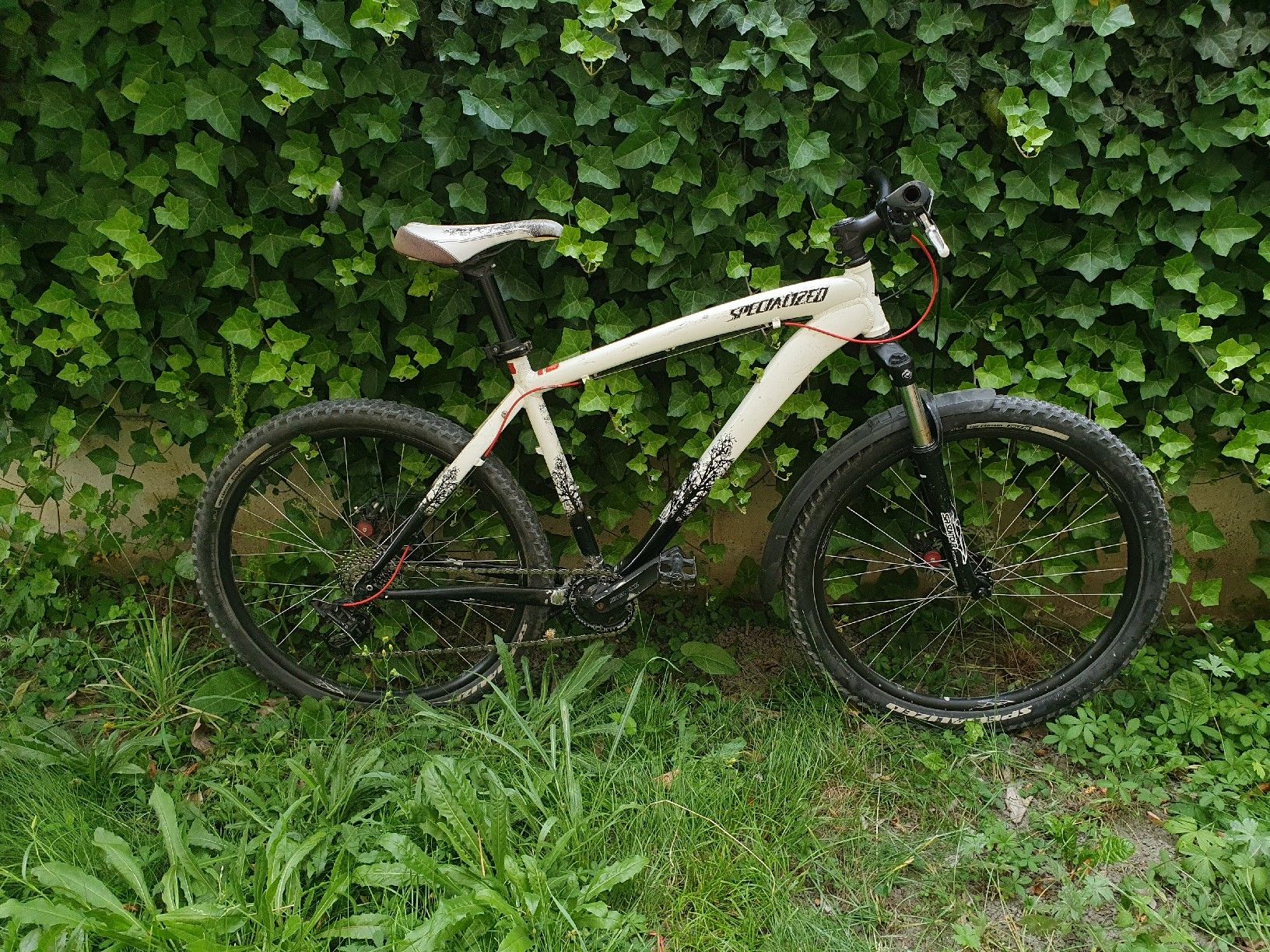 Specialized Biciclette: Specialized Hardtail MTB mit neuen Teilen – Difettoso da Glis venduto da Shortbread_