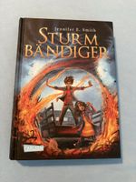 Buch Sturmbändiger Jennifer E. Smith Carlsen Verlag neu