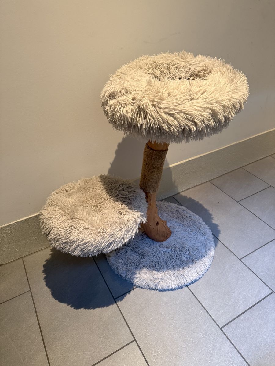 Tiragraffi: Katzenbaum Holz, Grau – Usato da Thun venduto da frieddi1