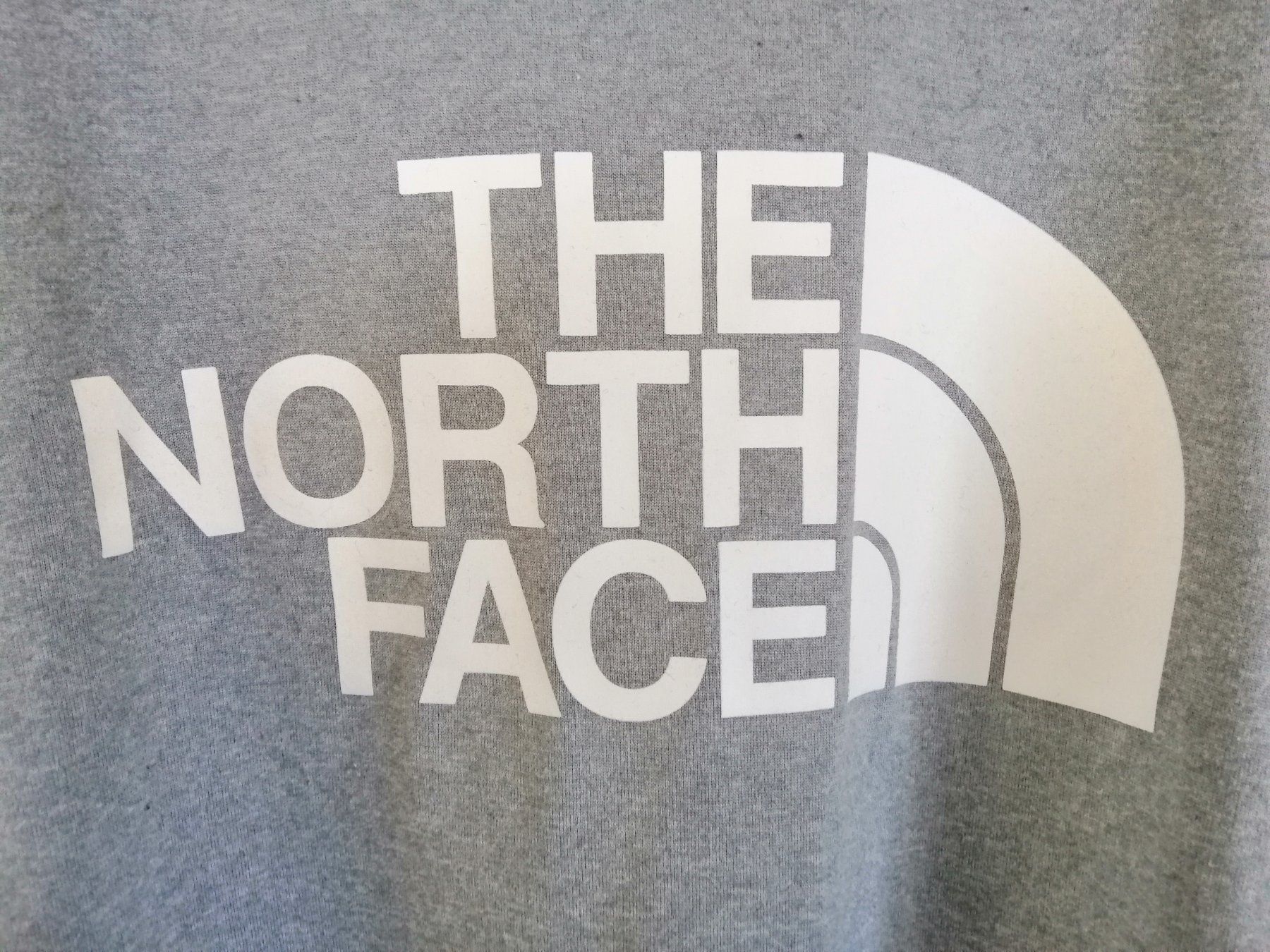 North Face T-shirt: The North Face Tshirt Gr. M (Original) – Usato da Fahrwangen venduto da  1